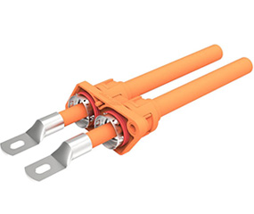 两芯过孔塑胶连接器